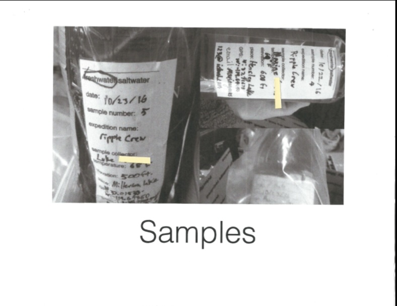 Water samples